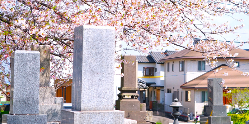 墓じまいにかかるリアルな費用内訳と抑えるコツ