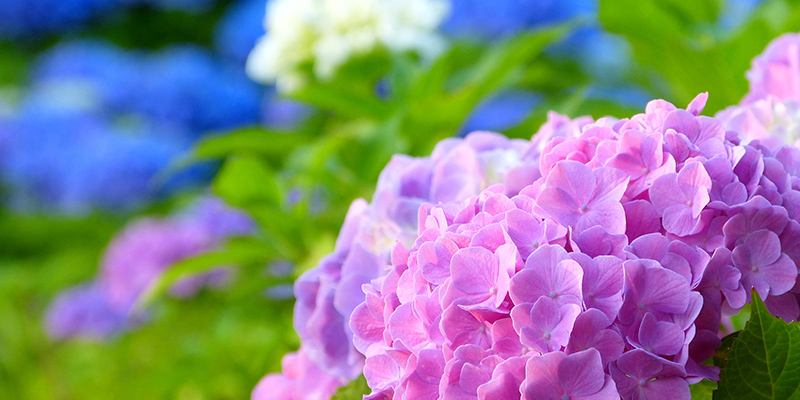 エンディングノートを活用して、充実した人生を送る