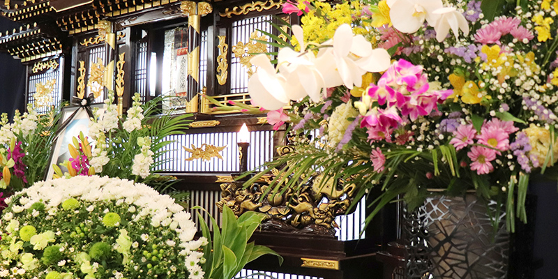 知らないと損する補助・扶助制度｜公的支援の仕組みと活用ポイント