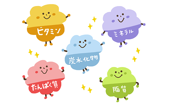 栄養と歯周病の関係｜食事内容が口腔と全身の健康を左右する理由