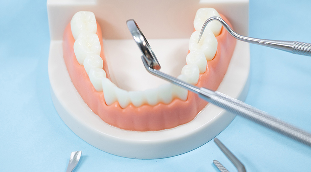 高齢者のための口腔ケア完全ガイド｜健康寿命を支える歯磨きとケアの実践法