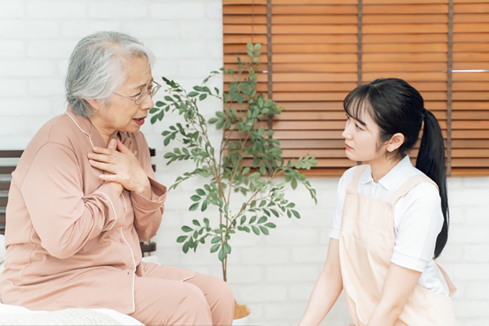 高齢者の心臓病予防ガイド｜危険因子と向き合う生活習慣改善の知恵