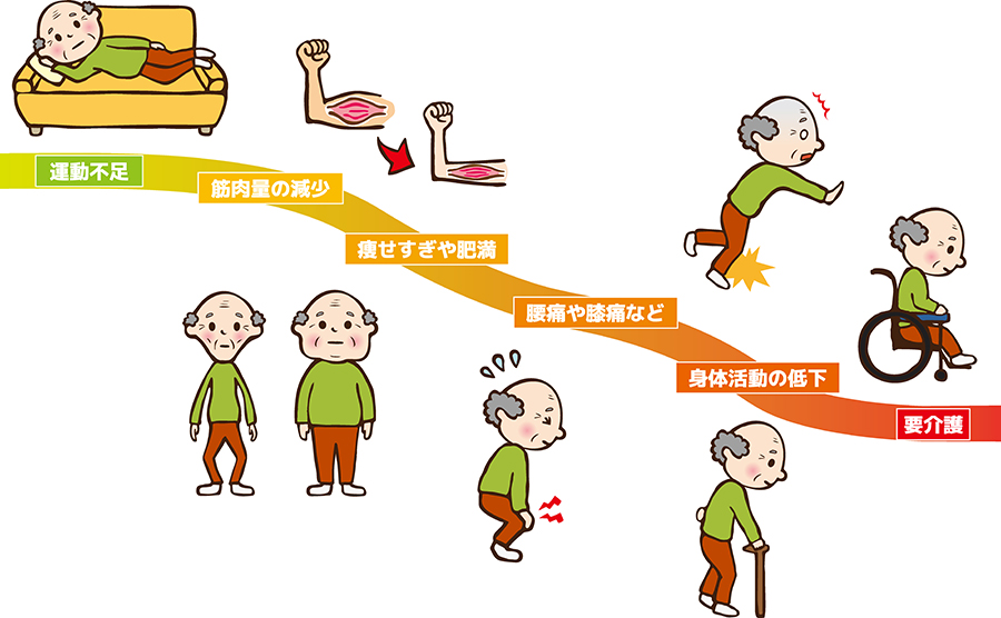 ロコモの進行を防ぐために知るべき6つの要因|加齢・疾患・生活習慣の影響