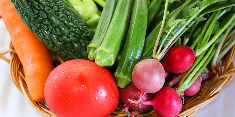 食欲を引き出すための工夫と献立例|見た目・香り・食感への配慮