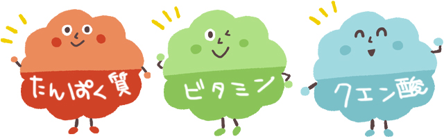 暑さに強い体を支える栄養素