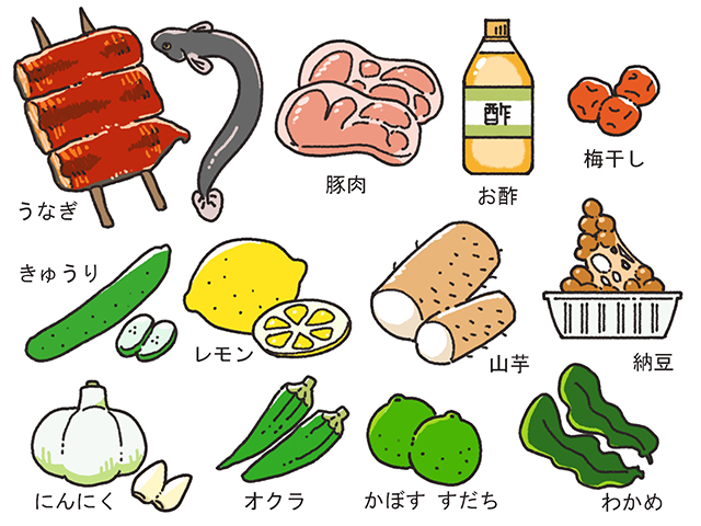 高齢者に適した「栄養素別おすすめ食材」
