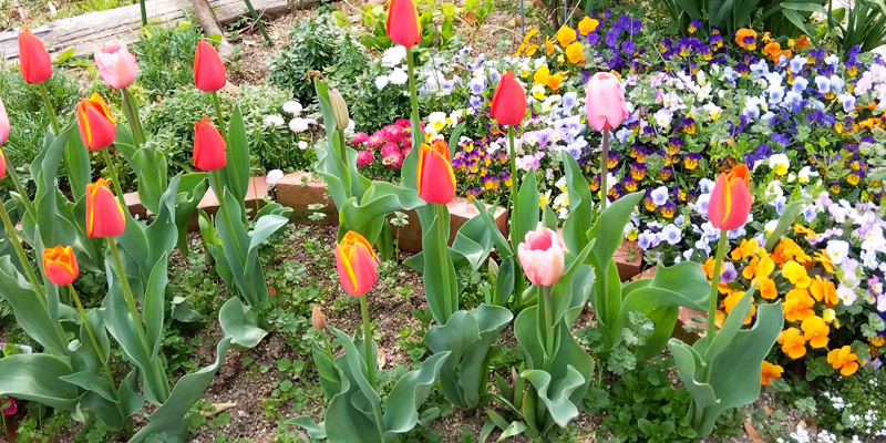 外に出ることで得られる力|屋外で心身を動かすおすすめ活動