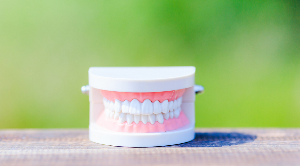 長く快適に使うために｜入れ歯の正しい手入れとトラブル予防ガイド